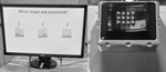 The Predictive Perception of Dynamic Vibrotactile Stimuli Applied to the Fingertip