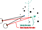 The relation between disparity and velocity signals of rigidly moving objects constrains depth order perception