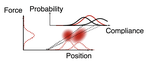 Computational aspects of softness perception