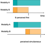 Multisensory simultaneity recalibration: storage of the aftereffect in the absence of counterevidence