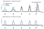 Temporal Regularity of the Environment Drives Time Perception